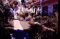 Pic 1