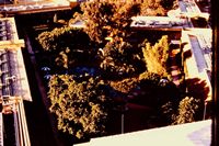 Pic 1