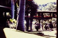 Pic 1