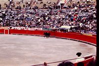 Pic 1