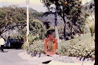 Pic 1