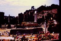 Pic 1