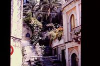 Pic 1