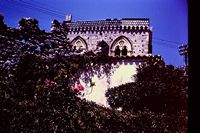 Pic 1