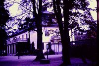 Pic 1