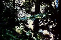 Pic 1