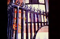 Pic 1