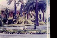 Pic 1