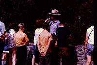 Pic 1