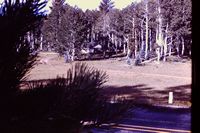 Pic 1