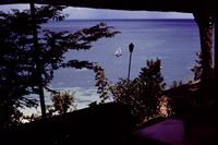 Pic 1