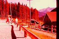Pic 1