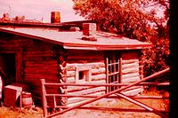 Pic 1