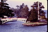 Pic 1