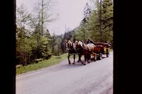 Pic 1