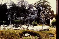 Pic 1