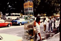 Pic 1