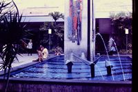 Pic 1