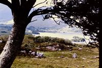 Pic 1