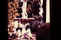 Pic 1