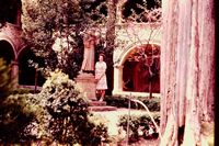 Pic 1
