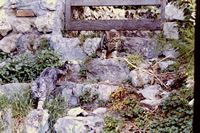 Pic 1