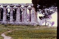 Pic 1