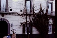 Pic 1