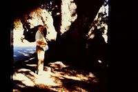 Pic 1