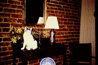 Pic 1