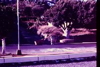 Pic 1