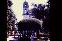 Pic 1
