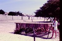 Pic 1