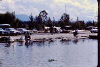 Pic 1