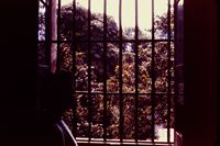 Pic 1