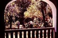 Pic 1