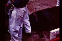 Pic 1