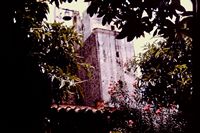 Pic 1