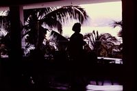 Pic 1