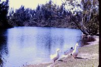 Pic 1