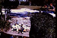 Pic 1