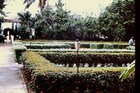 Pic 1