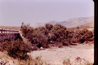 Pic 1