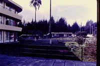 Pic 1