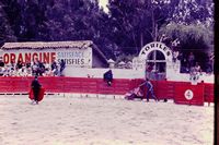 Pic 1