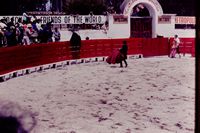 Pic 1