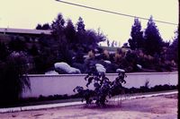 Pic 1