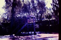 Pic 1