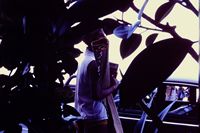 Pic 1