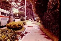 Pic 1